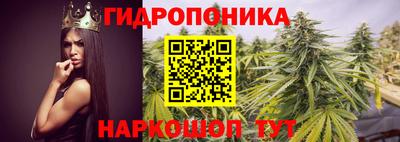 каннабис Гусев